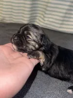 processed/1c91937d-55a4-4565-b01b-346704e3a167/listing/ec4f1a34-ce10-41db-aa58-edf8ce7405c1/5b8bc64d-5eaf-42af-bdd3-703ae6f5cdd1