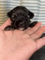 processed/1c91937d-55a4-4565-b01b-346704e3a167/listing/ec4f1a34-ce10-41db-aa58-edf8ce7405c1/d5a9bde8-4e7a-44e0-8bcc-ee169a476d98