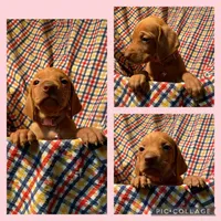 processed/1c97db74-efa2-421b-af51-8d3f2f5242e7/facility/83294a4c-ee62-4fe5-ad2f-15532d2c8b79