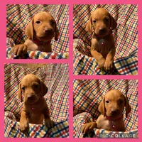 processed/1c97db74-efa2-421b-af51-8d3f2f5242e7/facility/a97e812e-5596-4cce-97eb-6cd4cc46ad9a