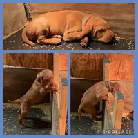 processed/1c97db74-efa2-421b-af51-8d3f2f5242e7/facility/e5570ed2-a842-4eba-ba51-c9cebf0e77e8