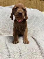 processed/1c97db74-efa2-421b-af51-8d3f2f5242e7/listing/0c59fcf4-121a-4603-8417-4181d73b6a56/30db03a8-bb7c-43fe-85d9-afa3d75785a5