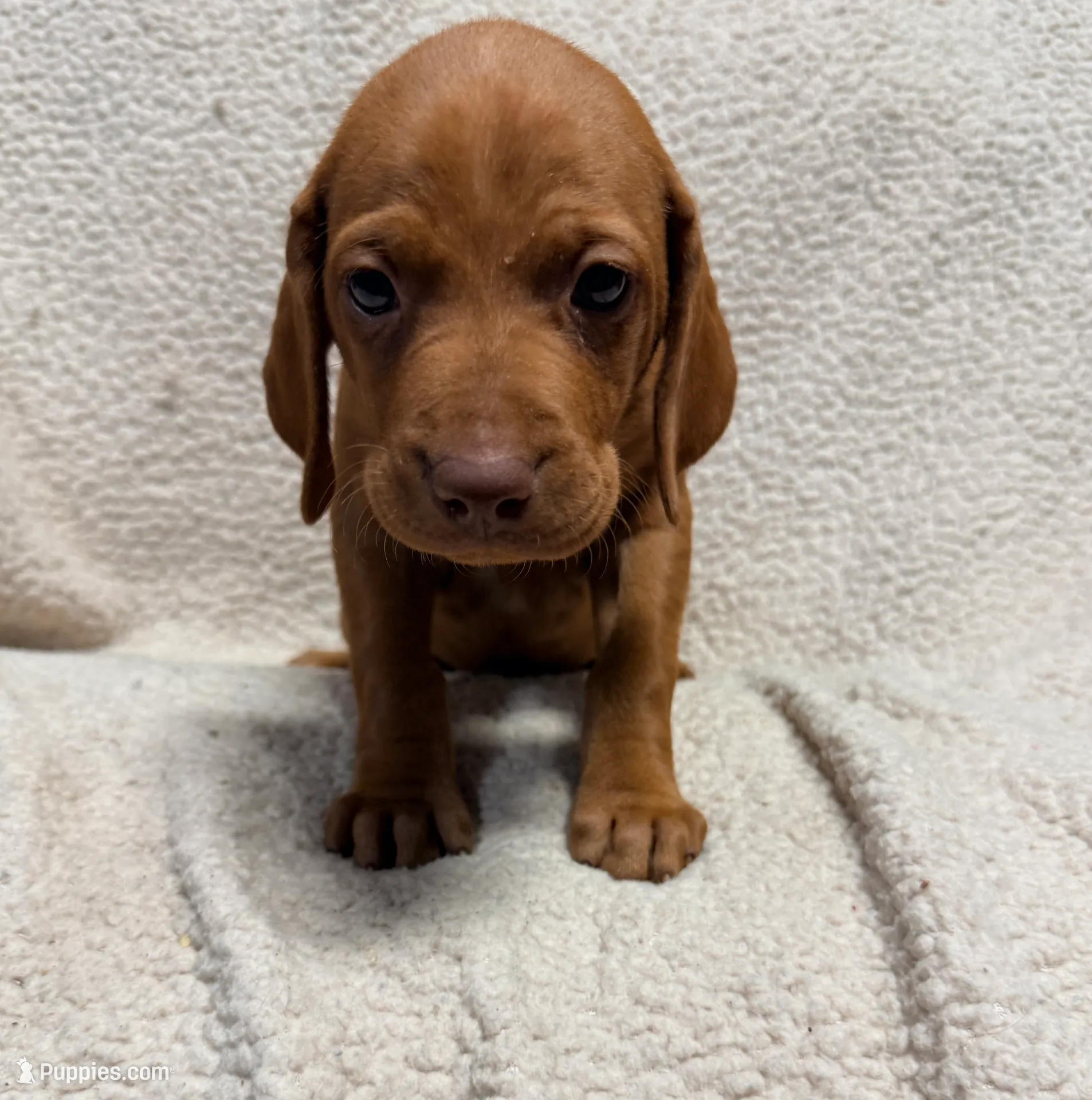 processed/1c97db74-efa2-421b-af51-8d3f2f5242e7/listing/0c59fcf4-121a-4603-8417-4181d73b6a56/5e7abe57-68ab-448e-acee-9e851a6199fe