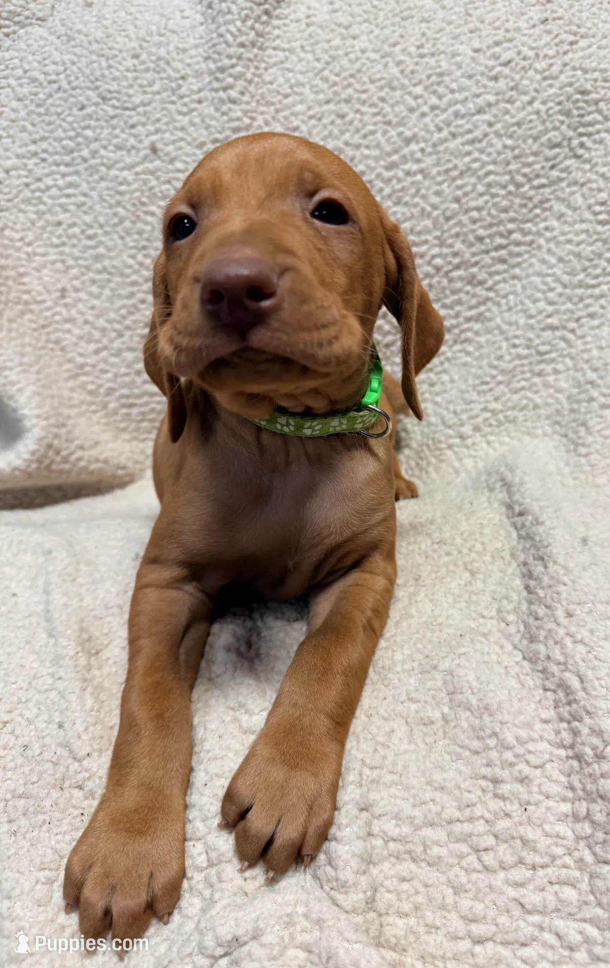 processed/1c97db74-efa2-421b-af51-8d3f2f5242e7/listing/888b35e9-4971-4114-851c-5c829f1f5a3a/5ef6dd11-650c-47e0-93a8-b5e985b7b8ec