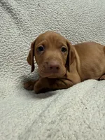 processed/1c97db74-efa2-421b-af51-8d3f2f5242e7/listing/888b35e9-4971-4114-851c-5c829f1f5a3a/630f7172-d744-4072-9d97-fa67d45955c9