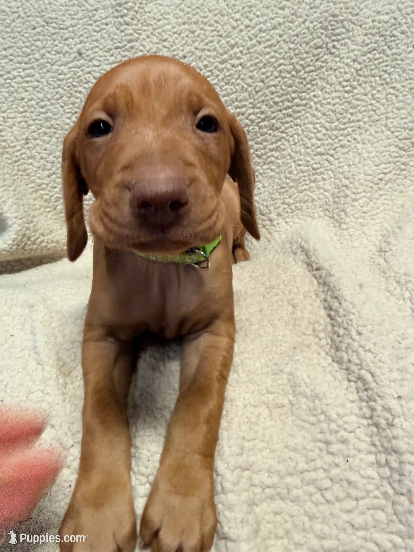 processed/1c97db74-efa2-421b-af51-8d3f2f5242e7/listing/888b35e9-4971-4114-851c-5c829f1f5a3a/66d4b347-d078-4db7-a616-2eefea09d13a