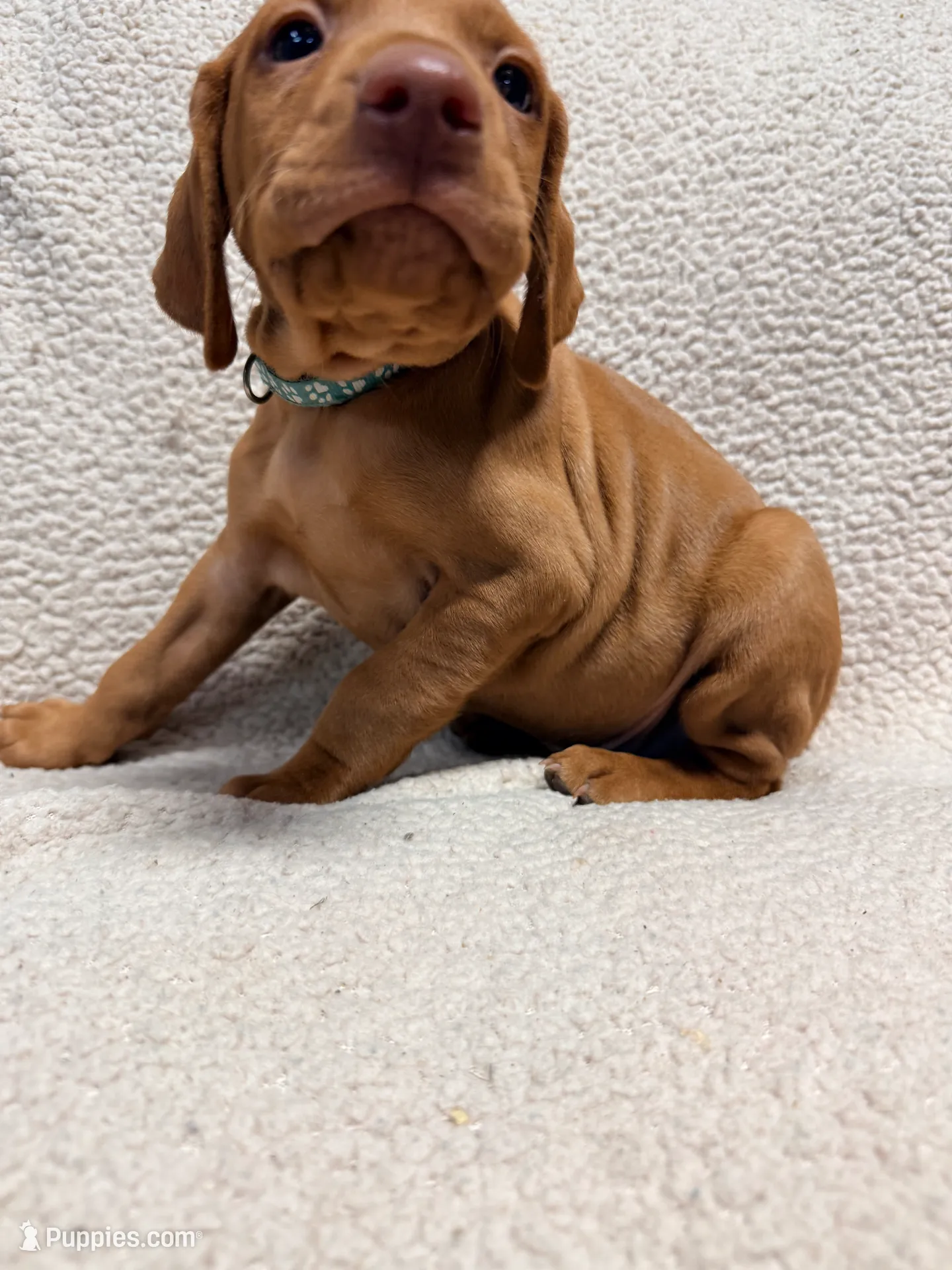 processed/1c97db74-efa2-421b-af51-8d3f2f5242e7/listing/888b35e9-4971-4114-851c-5c829f1f5a3a/6d892886-5ad9-4e63-b683-9346ed7c94d0