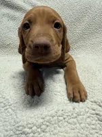 processed/1c97db74-efa2-421b-af51-8d3f2f5242e7/listing/ecfb3e4a-51e2-4b2d-99c4-9ca96037abc4/233498ba-efce-4727-b1b9-f36a1b4a505a