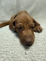 processed/1c97db74-efa2-421b-af51-8d3f2f5242e7/listing/ecfb3e4a-51e2-4b2d-99c4-9ca96037abc4/a2cf9233-563c-43ca-9734-783b3e120b94