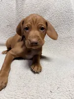 processed/1c97db74-efa2-421b-af51-8d3f2f5242e7/listing/ecfb3e4a-51e2-4b2d-99c4-9ca96037abc4/d4f6220f-d20a-4711-9540-6b58f1f65408