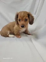 processed/1cc1ff76-2555-4036-b4f0-62d20e7c9e89/listing/ffd55f40-a3fb-4d91-a85f-1ad4f4735e6b/087508c6-a49e-4b24-a000-80fee91fec06