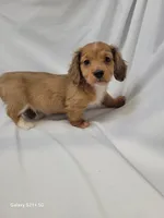 processed/1cc1ff76-2555-4036-b4f0-62d20e7c9e89/listing/ffd55f40-a3fb-4d91-a85f-1ad4f4735e6b/12309e63-7a5a-4951-bcba-991872089c33