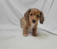 processed/1cc1ff76-2555-4036-b4f0-62d20e7c9e89/listing/ffd55f40-a3fb-4d91-a85f-1ad4f4735e6b/619c99d3-4061-4578-9264-3505b9712500