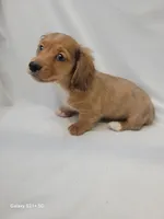 processed/1cc1ff76-2555-4036-b4f0-62d20e7c9e89/listing/ffd55f40-a3fb-4d91-a85f-1ad4f4735e6b/6b988adc-3f11-493d-868c-68dbd8ab8135