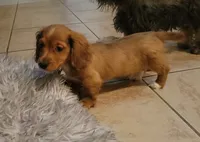 processed/1cc1ff76-2555-4036-b4f0-62d20e7c9e89/listing/ffd55f40-a3fb-4d91-a85f-1ad4f4735e6b/980115c2-c419-4074-a4fa-e0397c29b41b