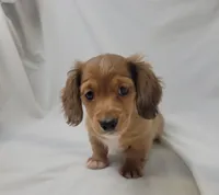 processed/1cc1ff76-2555-4036-b4f0-62d20e7c9e89/listing/ffd55f40-a3fb-4d91-a85f-1ad4f4735e6b/cfe1141b-06ef-4be1-ae42-c972d44d811e