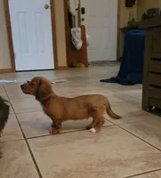 processed/1cc1ff76-2555-4036-b4f0-62d20e7c9e89/listing/ffd55f40-a3fb-4d91-a85f-1ad4f4735e6b/d63d22f7-87e8-436f-8486-b76130941a54