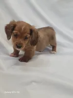 processed/1cc1ff76-2555-4036-b4f0-62d20e7c9e89/listing/ffd55f40-a3fb-4d91-a85f-1ad4f4735e6b/fd035649-6c7e-4307-b5ee-a4c6a5ae786f