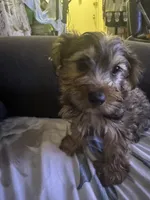 processed/1cc84998-42d8-4e48-8fba-d7655e40f643/listing/69a9e305-3613-418f-8905-fc6ecd34bce8/53bb2764-48b7-497a-9aac-e547ad32a2c5