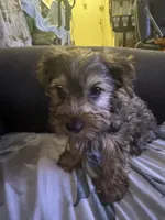 processed/1cc84998-42d8-4e48-8fba-d7655e40f643/listing/69a9e305-3613-418f-8905-fc6ecd34bce8/a73b2566-95bc-4a4f-be37-a411f8bc1abd