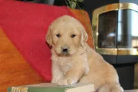 processed/1ccdec0b-c0b3-45fd-97c7-5641c9854f46/facility/48b8785c-4fbc-40dc-8756-397d34c45a5d