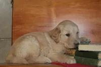 processed/1ccdec0b-c0b3-45fd-97c7-5641c9854f46/facility/8ec35841-9512-4714-9e4d-6053625c5b78