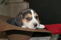 processed/1ccdec0b-c0b3-45fd-97c7-5641c9854f46/facility/c5db59eb-9821-4150-81de-2b89ebbe2da2