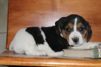 processed/1ccdec0b-c0b3-45fd-97c7-5641c9854f46/facility/c87e1074-f7d3-40f0-ada5-acd05f0602f7