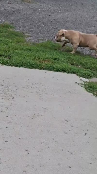 Facility video