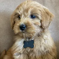 processed/1cd9d1da-7c3a-49f2-b6bc-5c097e9923d1/facility/924193fc-cb81-4e77-9529-15bf27f4366e