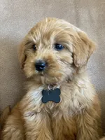 processed/1cd9d1da-7c3a-49f2-b6bc-5c097e9923d1/facility/924193fc-cb81-4e77-9529-15bf27f4366e