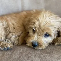 processed/1cd9d1da-7c3a-49f2-b6bc-5c097e9923d1/facility/d4d5e905-1621-4ad3-ad1a-bbef2d2682f3