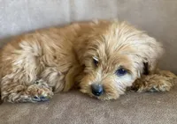 processed/1cd9d1da-7c3a-49f2-b6bc-5c097e9923d1/facility/d4d5e905-1621-4ad3-ad1a-bbef2d2682f3