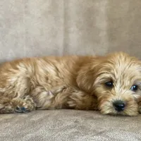 processed/1cd9d1da-7c3a-49f2-b6bc-5c097e9923d1/facility/ffd507a0-64e3-46f5-acb9-22ced16f5f45