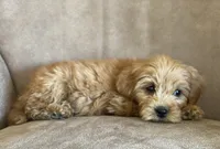 processed/1cd9d1da-7c3a-49f2-b6bc-5c097e9923d1/facility/ffd507a0-64e3-46f5-acb9-22ced16f5f45