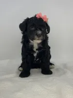 processed/1cd9d1da-7c3a-49f2-b6bc-5c097e9923d1/listing/f58700e8-6e40-4e64-8e9f-222ecd471615/31264af4-c8d9-4cb5-9176-abb7930cf7f1