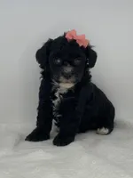 processed/1cd9d1da-7c3a-49f2-b6bc-5c097e9923d1/listing/f58700e8-6e40-4e64-8e9f-222ecd471615/c3eb97ab-a14d-43c2-9ccf-bf94b26b4ca8