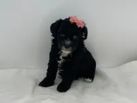 processed/1cd9d1da-7c3a-49f2-b6bc-5c097e9923d1/listing/f58700e8-6e40-4e64-8e9f-222ecd471615/d8b50de8-5691-4886-bede-6af274059ac7