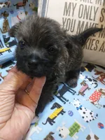 processed/1ce734f4-67a2-44a2-9747-327cf79d89b5/listing/4219a843-1950-4961-911e-2c8837b6729e/2e232946-ae6b-45a0-8090-926643a24a4a