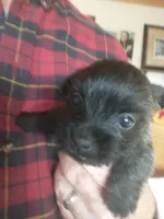 processed/1ce734f4-67a2-44a2-9747-327cf79d89b5/listing/4219a843-1950-4961-911e-2c8837b6729e/5e9ac6e3-ea2f-4be5-a52f-c3bfccc2a09e