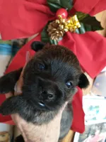 processed/1ce734f4-67a2-44a2-9747-327cf79d89b5/listing/4219a843-1950-4961-911e-2c8837b6729e/b9d43689-e34b-4425-8464-aeb86d7f9fba