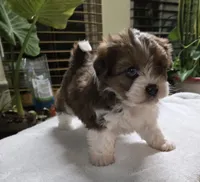 processed/1cede1c4-b763-4758-bc91-0a57e22ca920/listing/a7e20b15-01cc-4bfc-a39c-fdc9ae1ab155/603384ad-0284-405f-8013-9aece0c7c47a