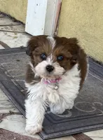 processed/1cede1c4-b763-4758-bc91-0a57e22ca920/listing/a7e20b15-01cc-4bfc-a39c-fdc9ae1ab155/7174b008-8bf4-4ad1-b6d8-5128851949e3