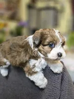 processed/1cede1c4-b763-4758-bc91-0a57e22ca920/listing/a7e20b15-01cc-4bfc-a39c-fdc9ae1ab155/b0a132cd-c021-479e-b682-8241e26107f0