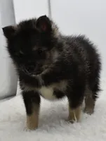 processed/1cede1c4-b763-4758-bc91-0a57e22ca920/listing/ae3ef37b-7f06-4651-8b28-dfaec8342caf/03fd2ee0-596e-4aa8-b16c-5e710955abd9