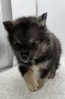 processed/1cede1c4-b763-4758-bc91-0a57e22ca920/listing/ae3ef37b-7f06-4651-8b28-dfaec8342caf/0f33208b-1be1-4acb-bd05-e36459f64812