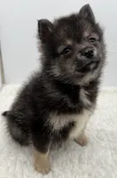 processed/1cede1c4-b763-4758-bc91-0a57e22ca920/listing/ae3ef37b-7f06-4651-8b28-dfaec8342caf/2ae44365-9f8c-4874-a747-089b4928d8cb