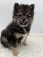 processed/1cede1c4-b763-4758-bc91-0a57e22ca920/listing/ae3ef37b-7f06-4651-8b28-dfaec8342caf/45010b6c-d8ad-48fe-ae98-866383e3c313