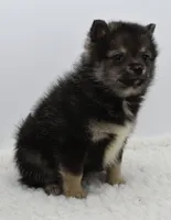 processed/1cede1c4-b763-4758-bc91-0a57e22ca920/listing/ae3ef37b-7f06-4651-8b28-dfaec8342caf/464b44c8-230a-4856-a603-7bf4a06c1b99