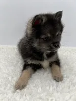 processed/1cede1c4-b763-4758-bc91-0a57e22ca920/listing/ae3ef37b-7f06-4651-8b28-dfaec8342caf/87047ae2-bf33-473c-8b05-347feb50e268